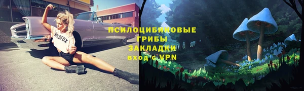 PSILOCYBIN Белоозёрский