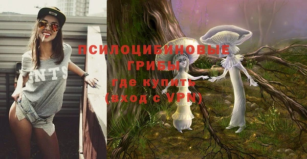 дмт Беломорск